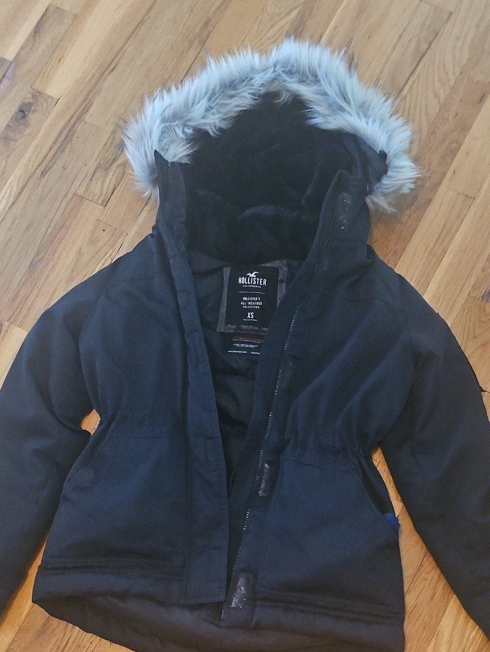 Hollister Winter Coat